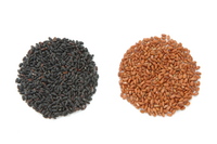 ancient-rice
