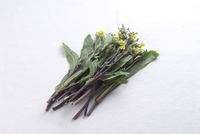 beet-moss