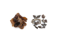 black-ear