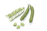 broad-beans
