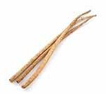 burdock