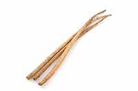 burdock