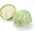 cabbage