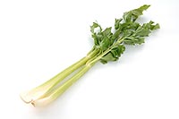celery