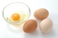 chicken-egg