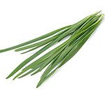 chinese-chive