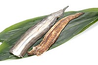 conger