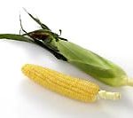 corn