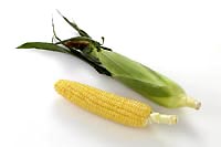 corn