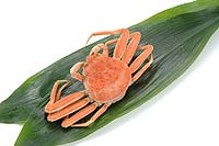 crab