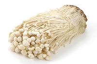 enoki-mushroom