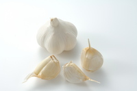 garlic