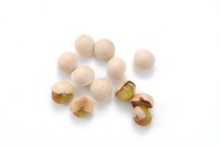 ginkgo