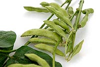 green-soybeans