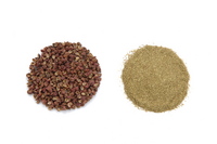 japanese-pepper