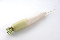japanese-white-radish
