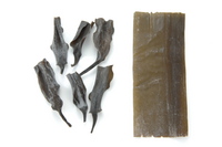 kelp