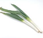 leek