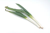 leek