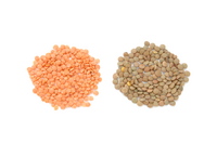 lentil