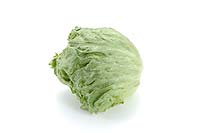 lettuce