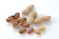 peanut