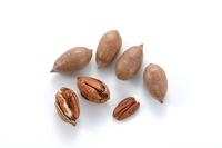pecan-nuts