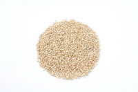 quinoa