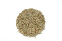 rosemary