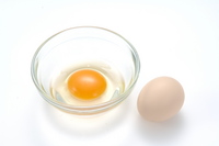 silkie-egg