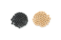 soy
