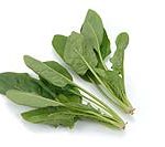spinach