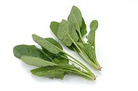 spinach