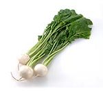 turnip