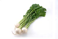 turnip