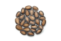 watermelon-seeds