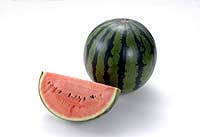 watermelon