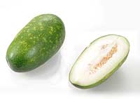 wax-gourd