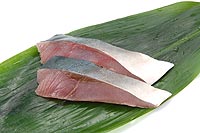 yellowtail