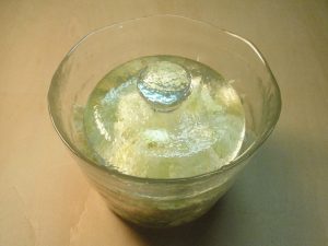 はるじおんと白菜のサラダ