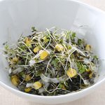 ブロッコリースプラウトの海苔酢